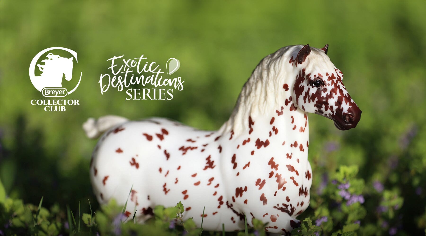 Salzburg | 2025 Collector Club Model