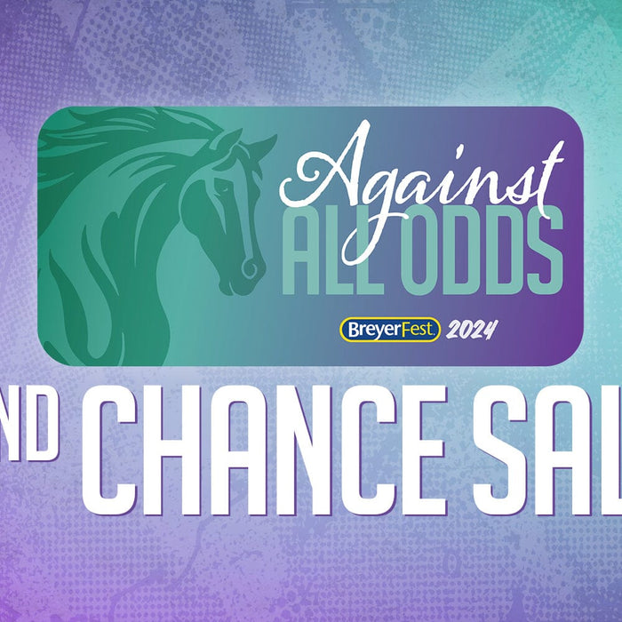 Second Chance Sale!