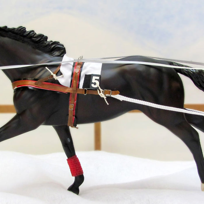 Skijoring – A European Tradition