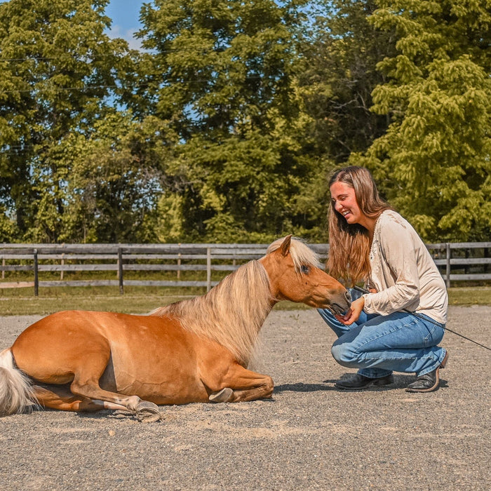 Lulu the mini horse laying down in an arena with owner Aimee kneeling next to her.