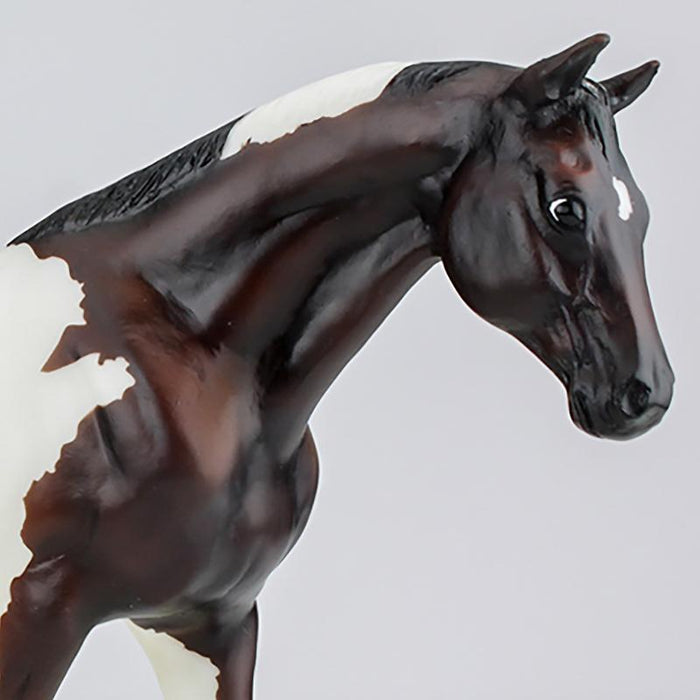 Sneak peek at a new model!