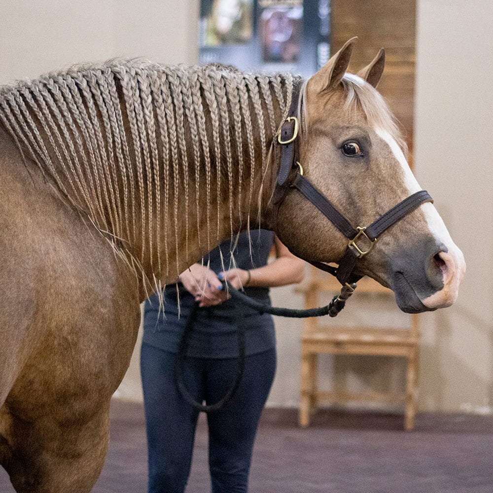 Spokes & Spurs Roundup