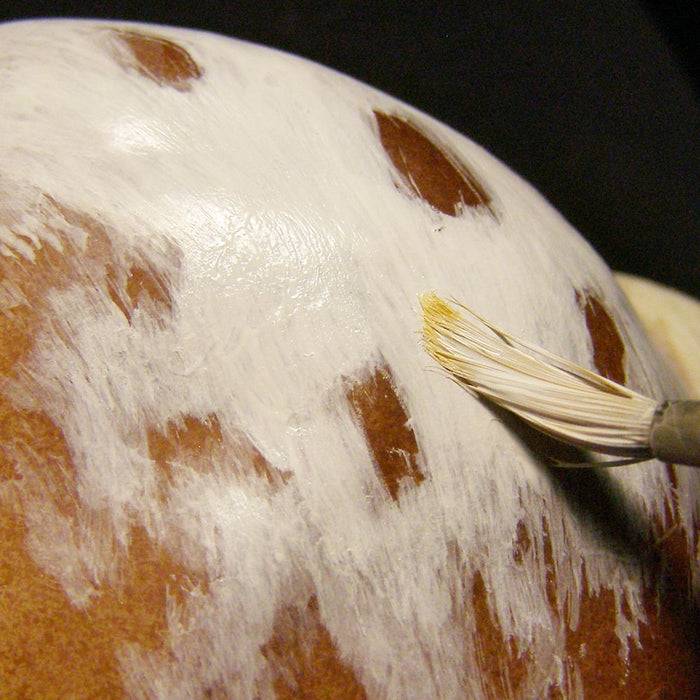 Spotty Skills: Painting an Appaloosa Blanket