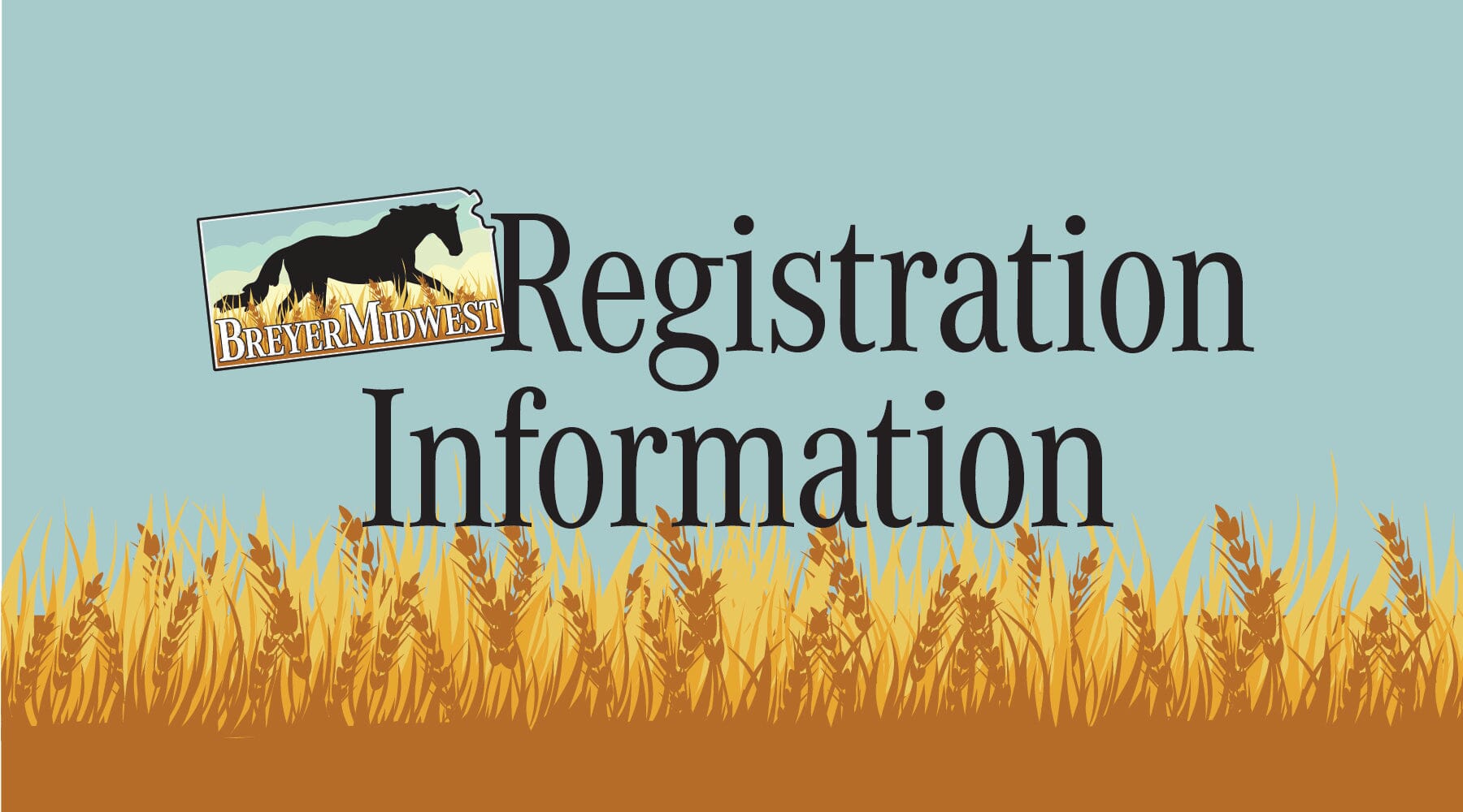 Tack For Beginners Of All Ages