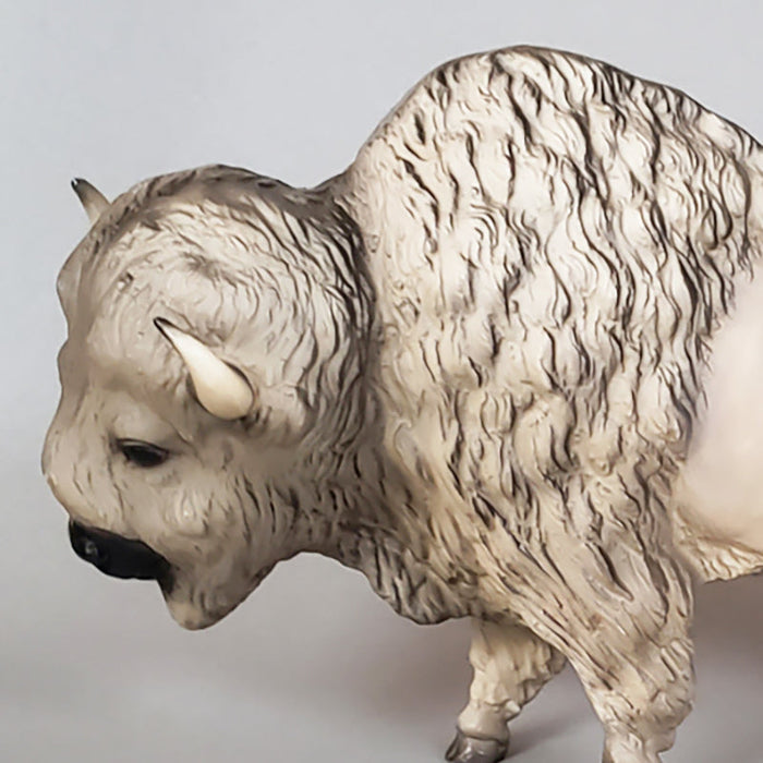 Tatanka Ska: The Sacred White Buffalo