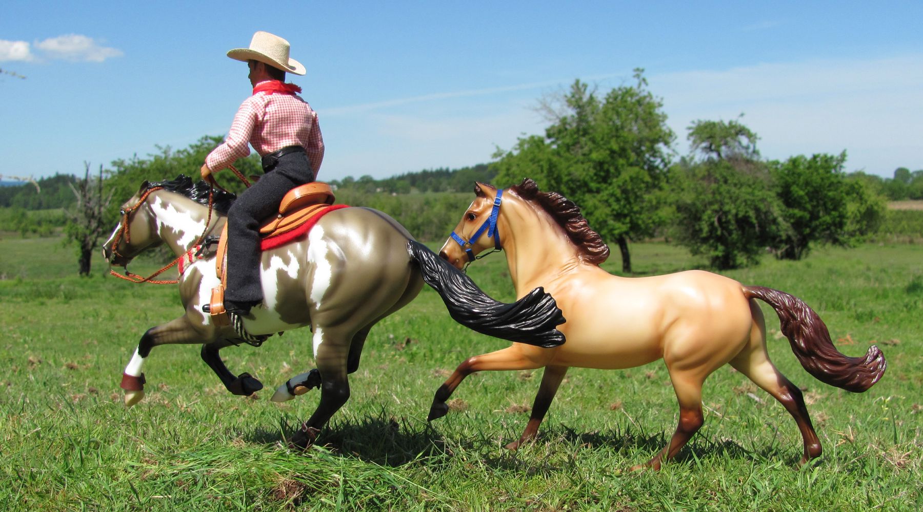 The Excitement of the Extreme Cowboy Race