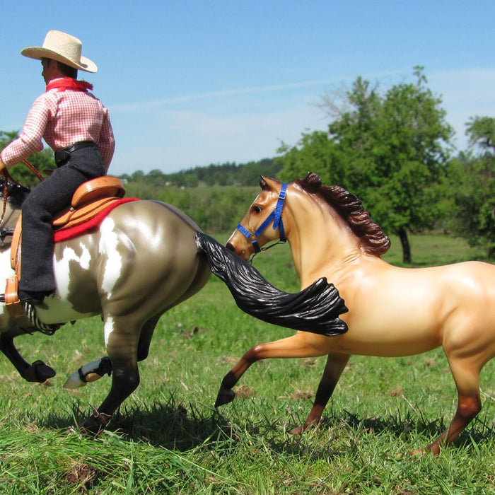 The Excitement of the Extreme Cowboy Race
