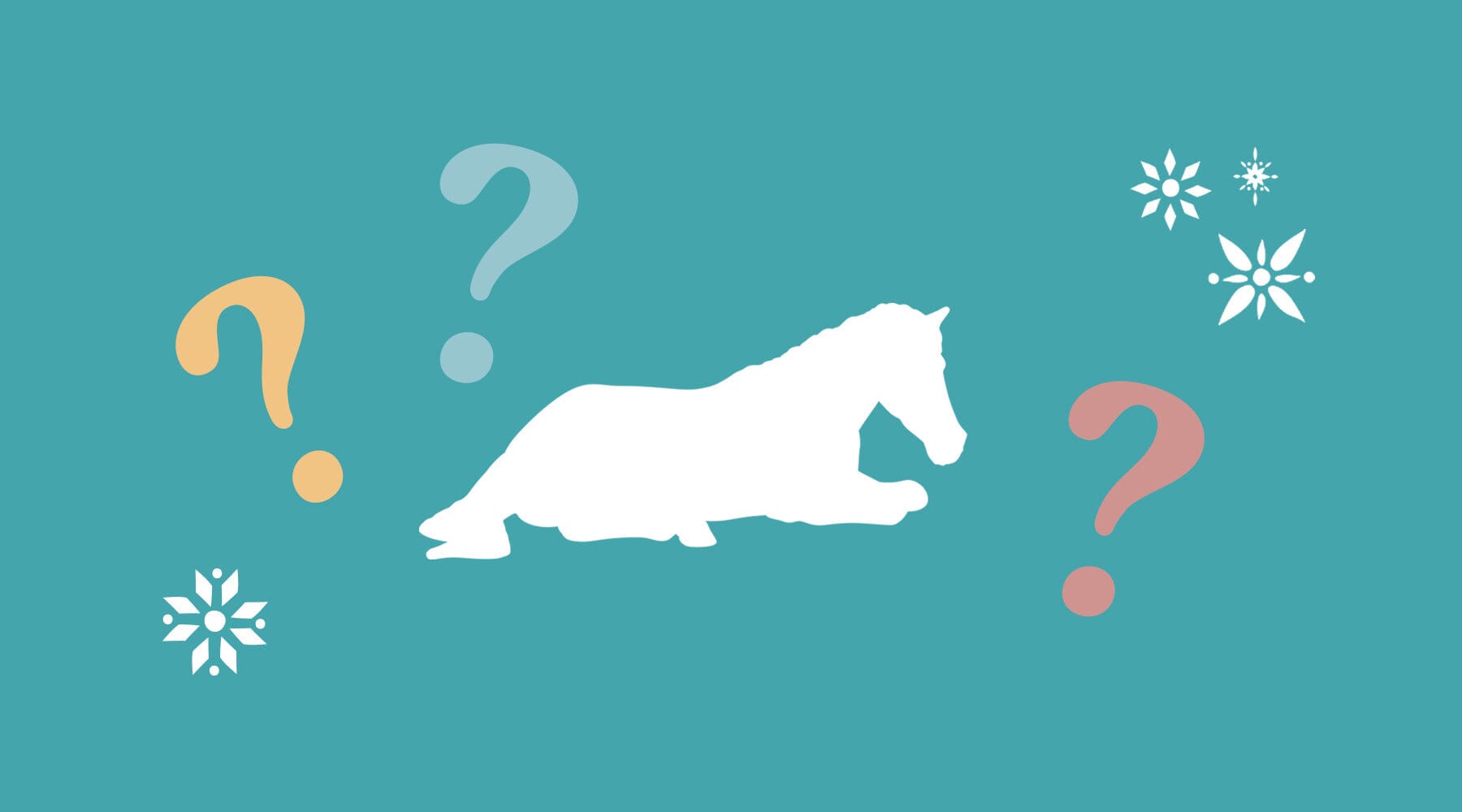 The Final Week of 2025!