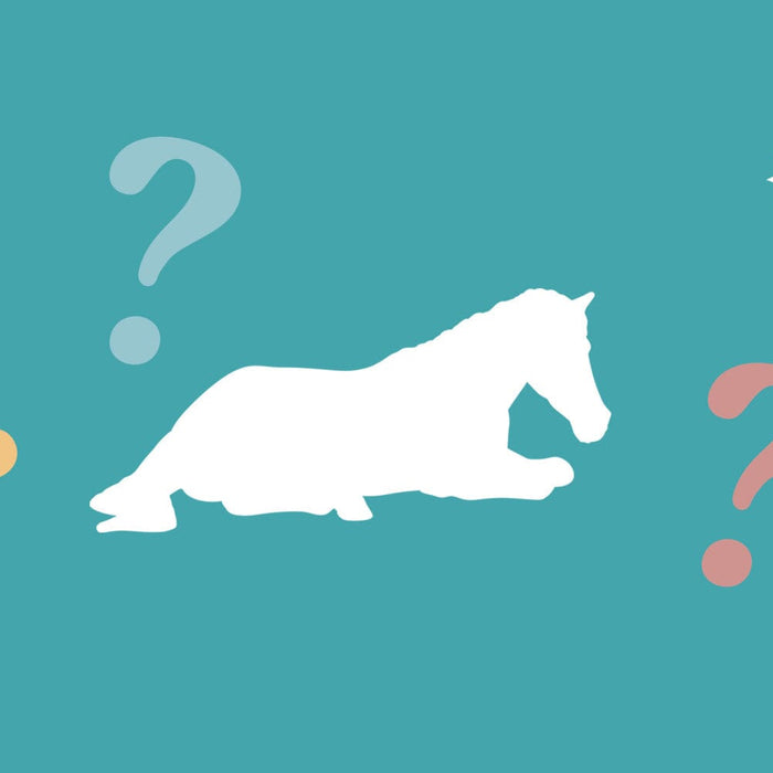 The Final Week of 2025!