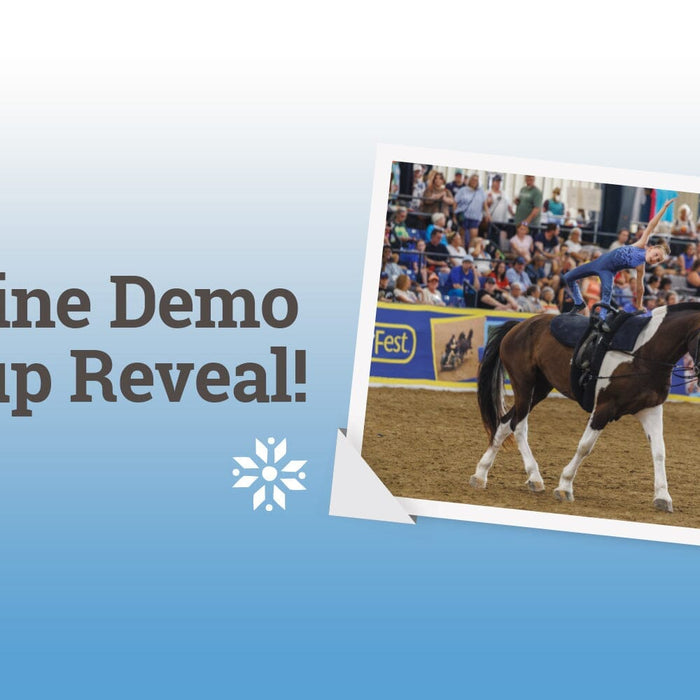 The Norwegian Dole Horse