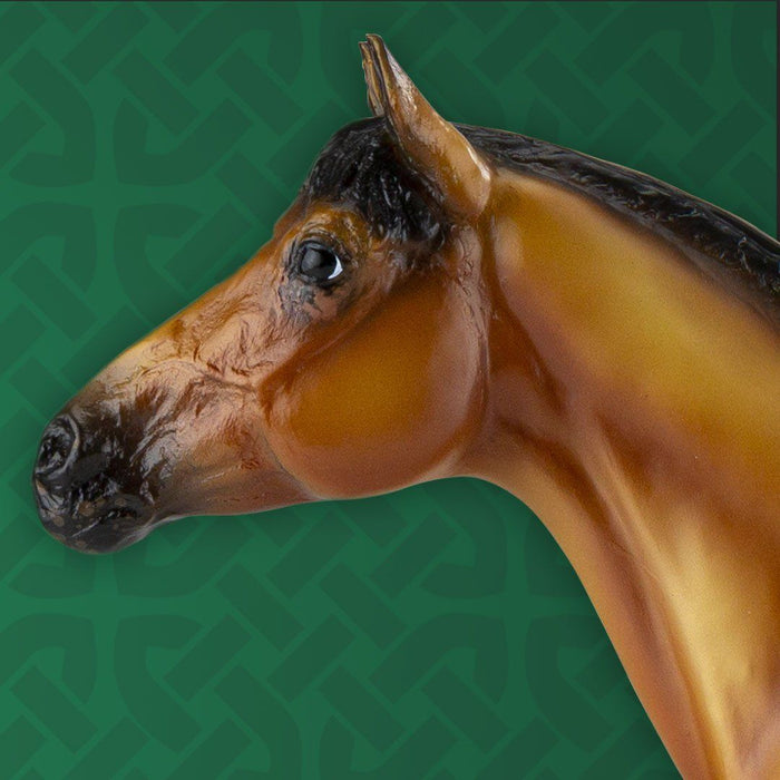 The reveal you've been waiting for!