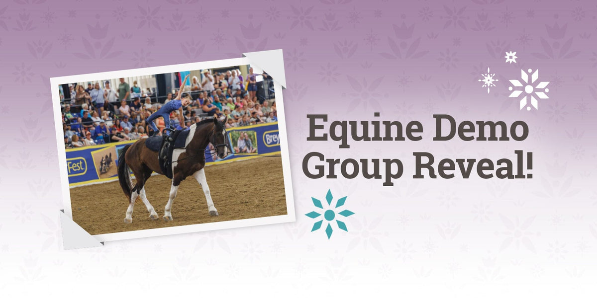 The Rockin' R Rhythm Riders — BreyerHorses.com