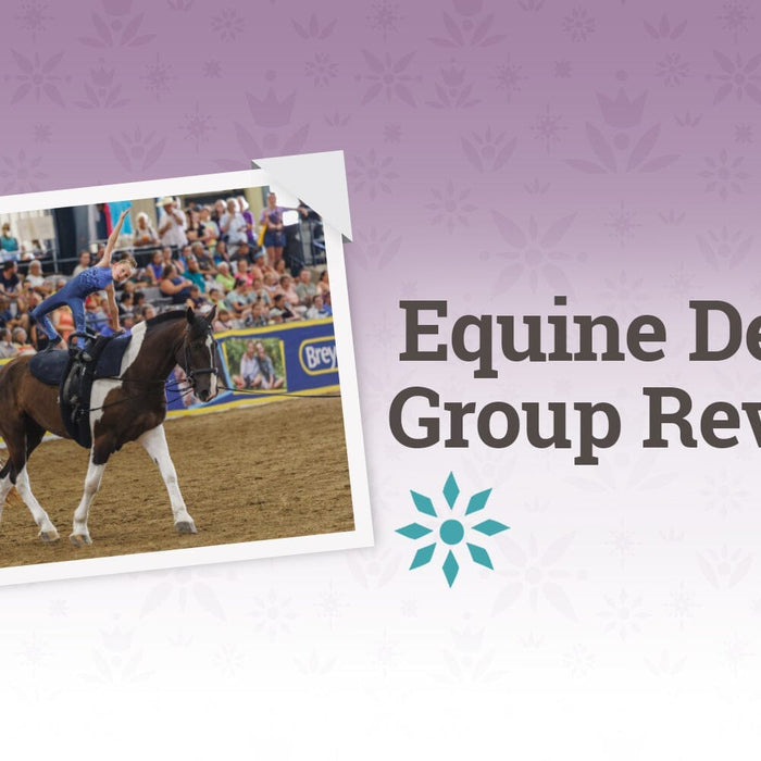 The Rockin' R Rhythm Riders