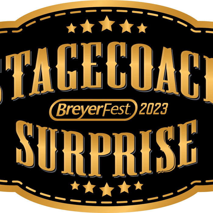 The Stagecoach Surprise!
