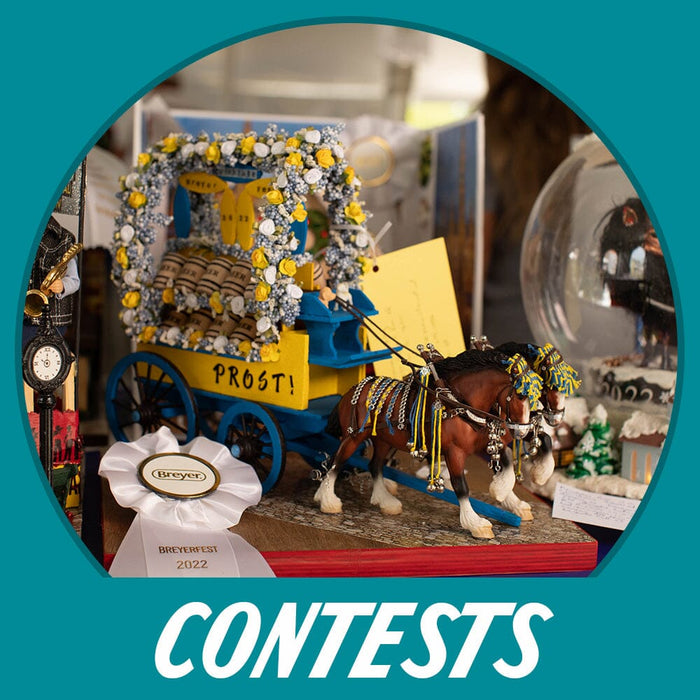 Virtual Diorama Contest Winners!