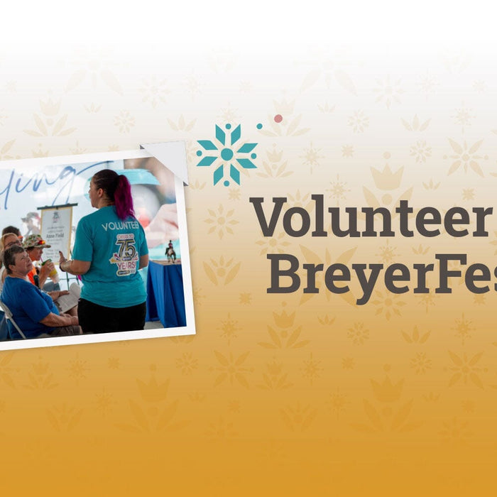 Volunteer Applications – Round Two!