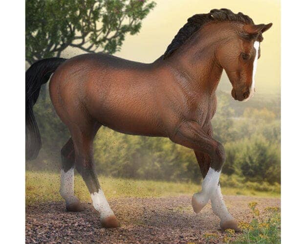 Warmblood Stallion - Bay | Retired