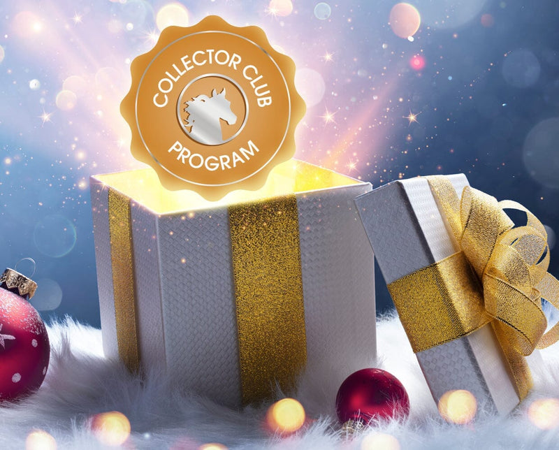 Live Hour Owner’s Club　2　Christmas wassail-christmas-surprise-