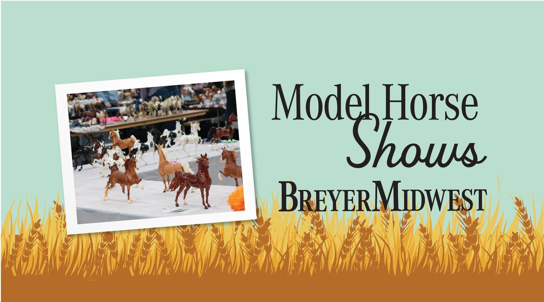 What Is Model Horse Showing?