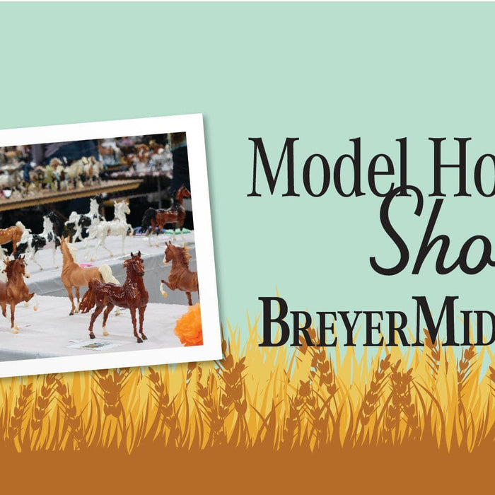 What Is Model Horse Showing?