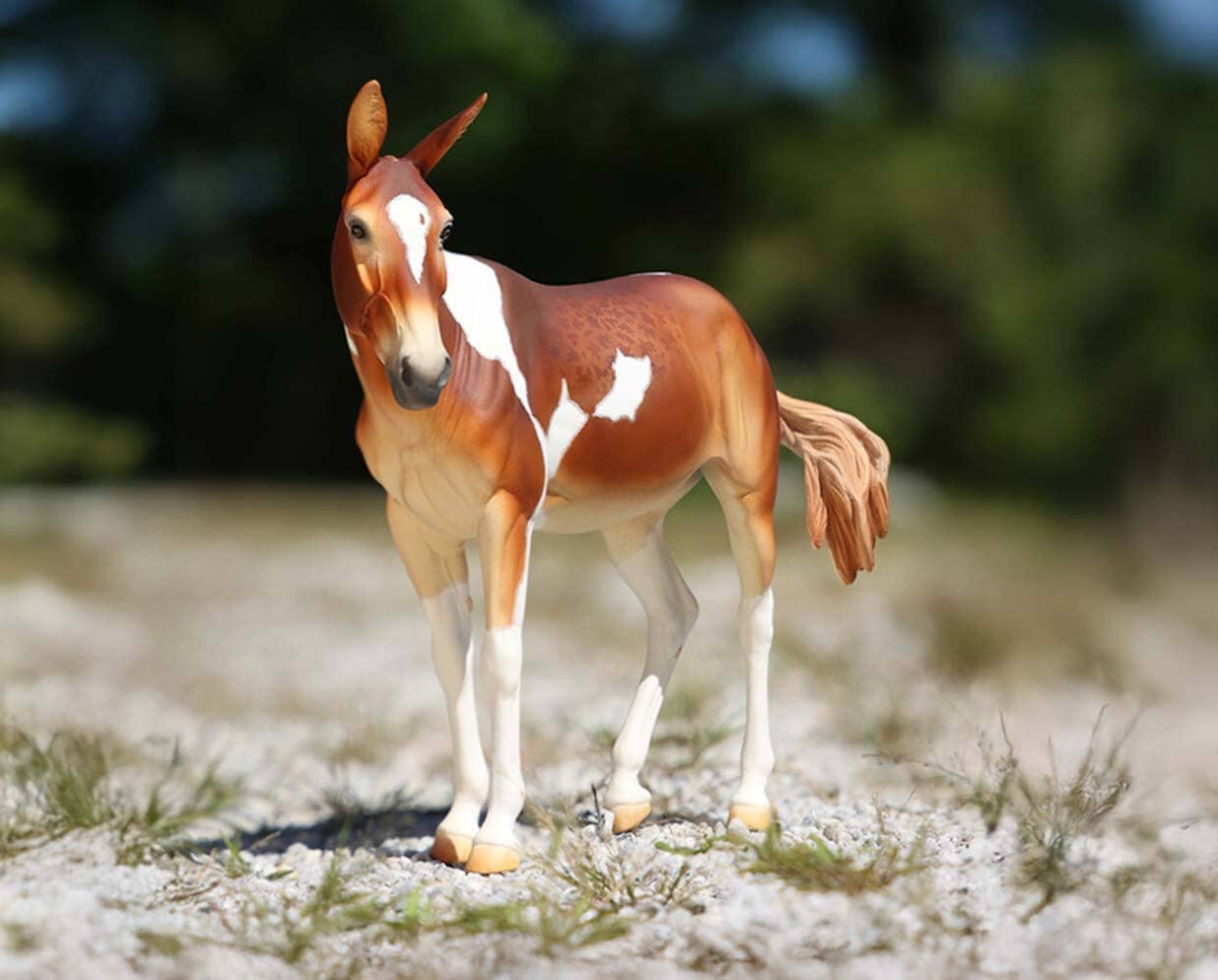 Winnifred | 2025 Premier Club — BreyerHorses.com
