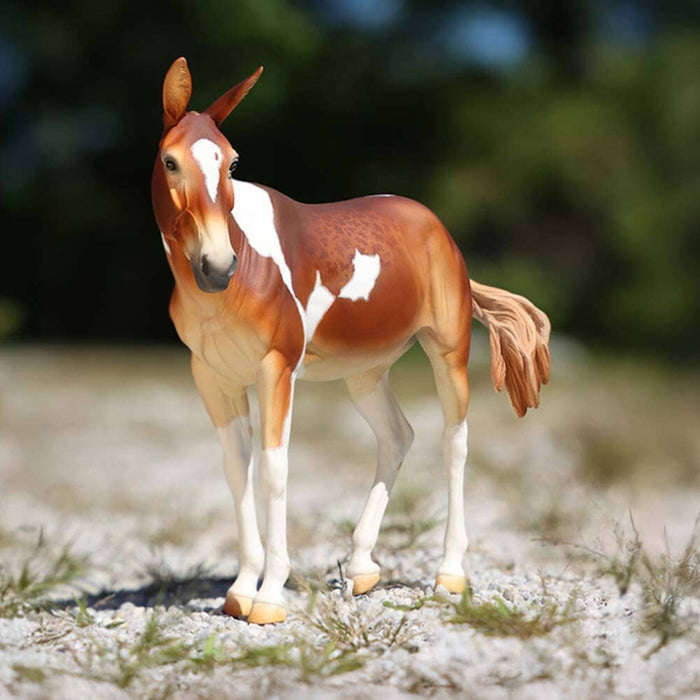 Winnifred | 2025 Premier Club