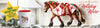 Western Horseman Holiday Deal 2020!
