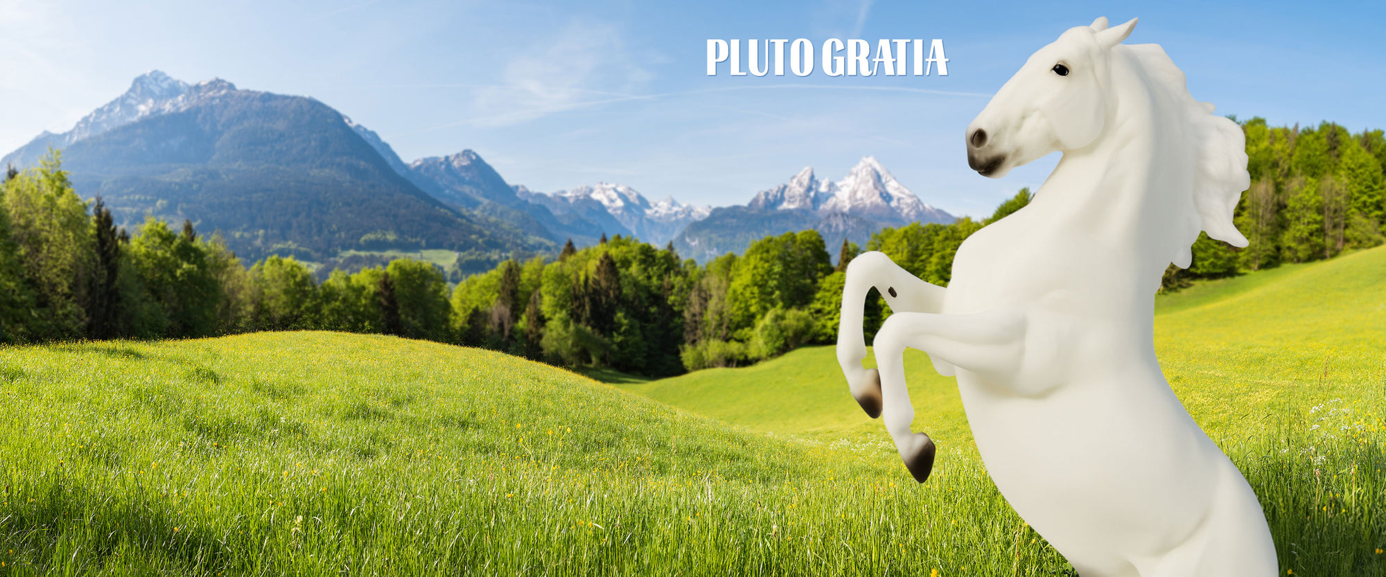 Pluto Gratia - Stunning Lippizan standing in a field with mountains in the background.