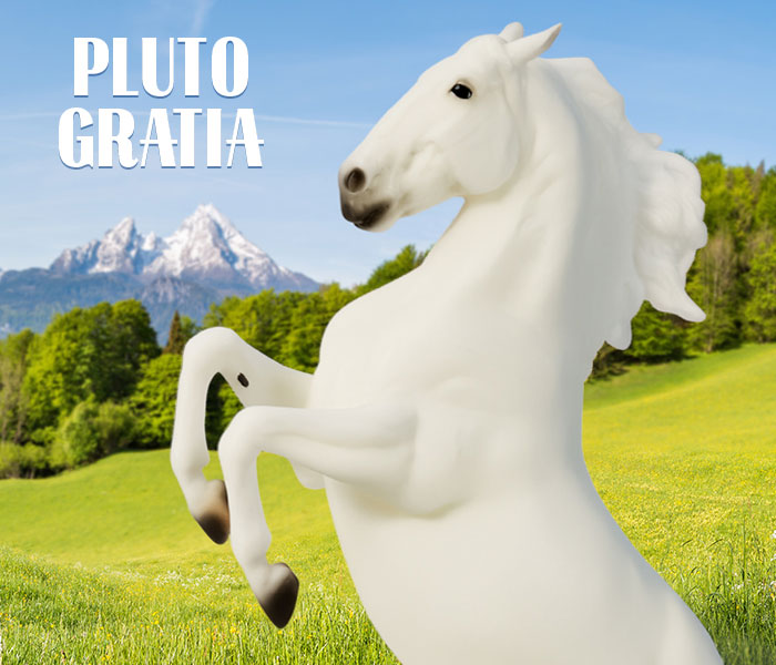 Pluto Gratia - Stunning Lippizan standing in a field with mountains in the background.