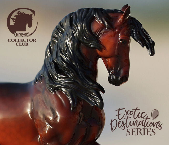 Lisboa | Check to  see if you've been selected!