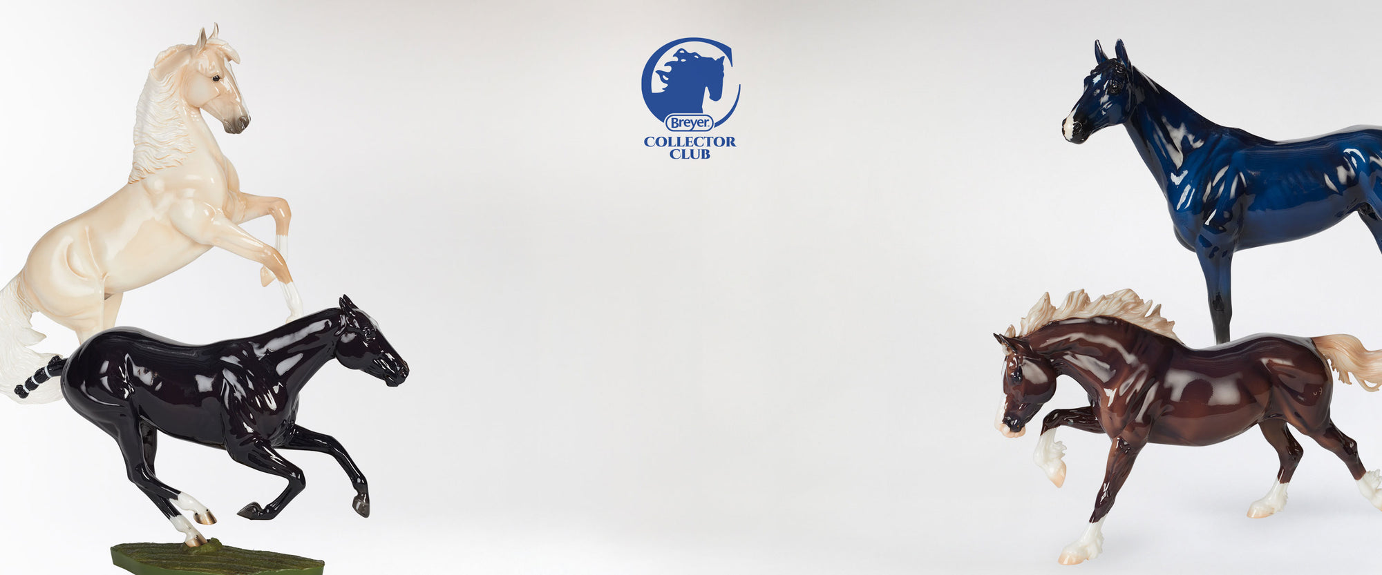 The Spring 2026 Glossy Models