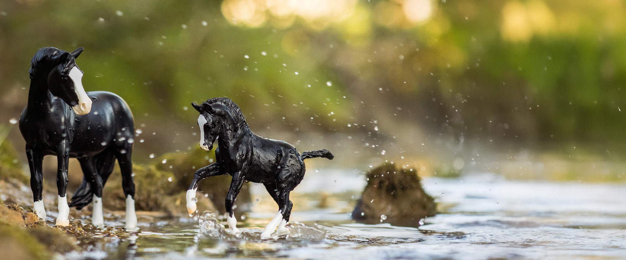 March Super Sale - Featuring Nistar Blazing Kansas LOM & GTF Blazing Ethel standing in a riverbed.