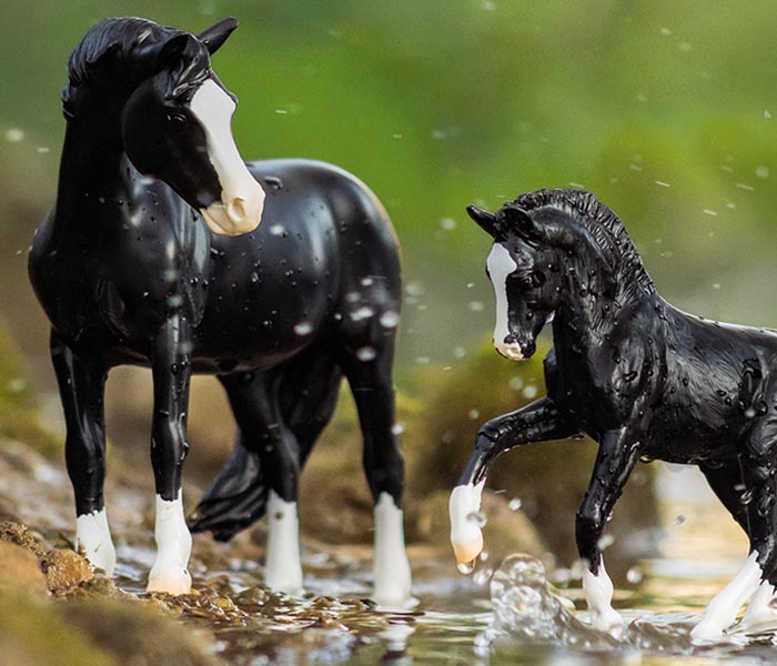 March Super Sale - Featuring Nistar Blazing Kansas LOM & GTF Blazing Ethel standing in a riverbed.