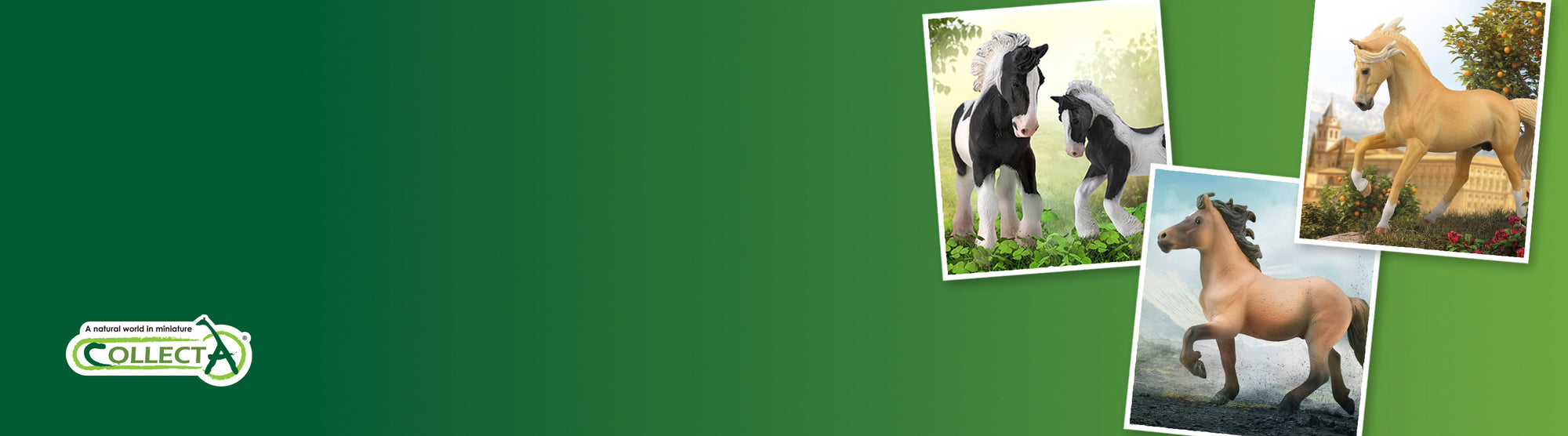 Assorted inlaid photos of CollecA models on a green background