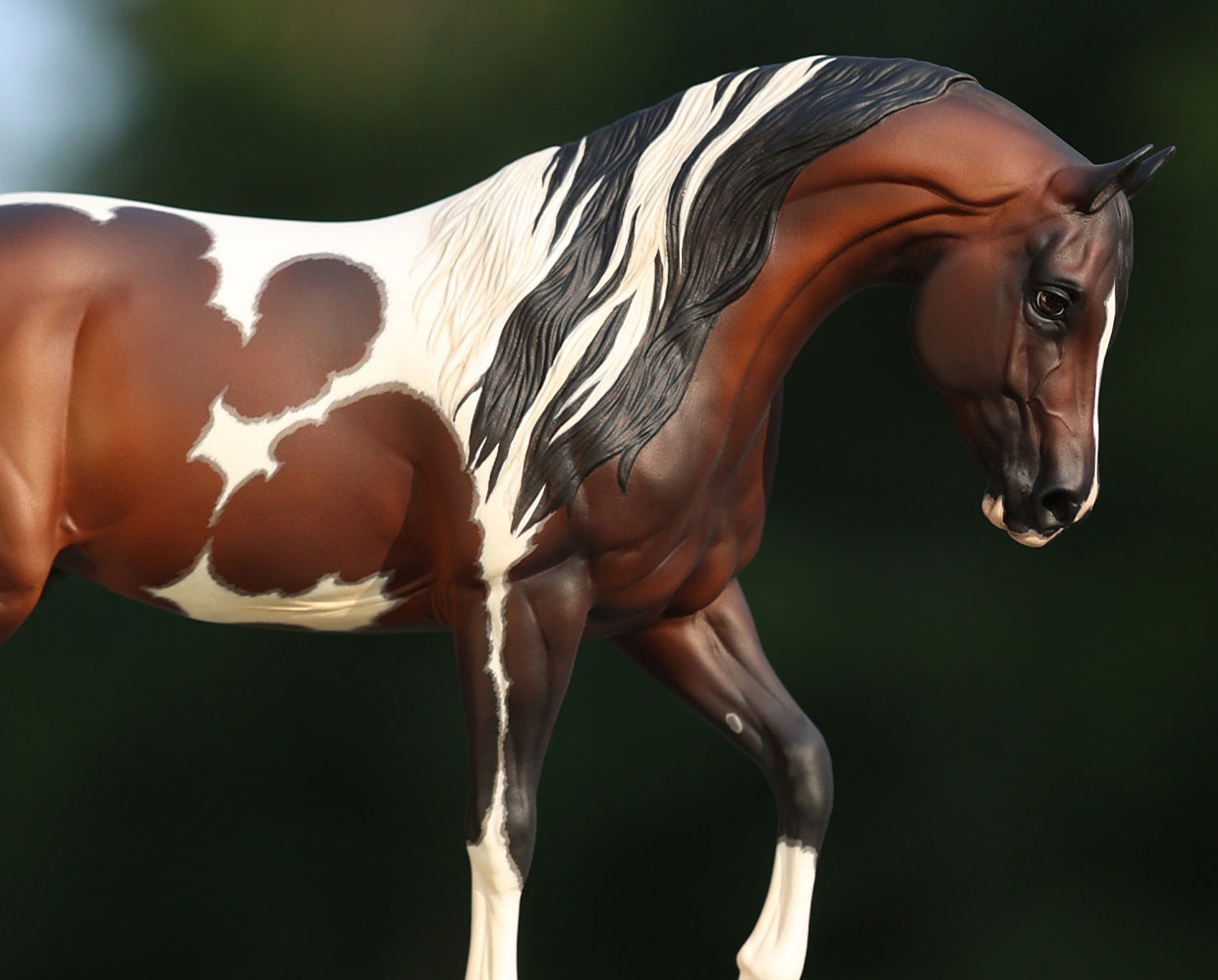 A Breyer Special Release on a green background