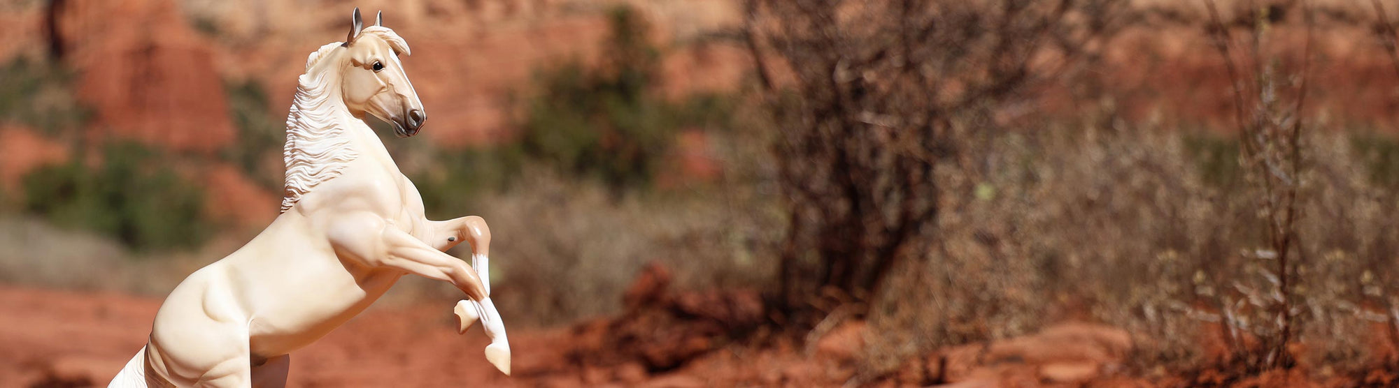 National Help a Horse Day- Save 10% for a limited time.