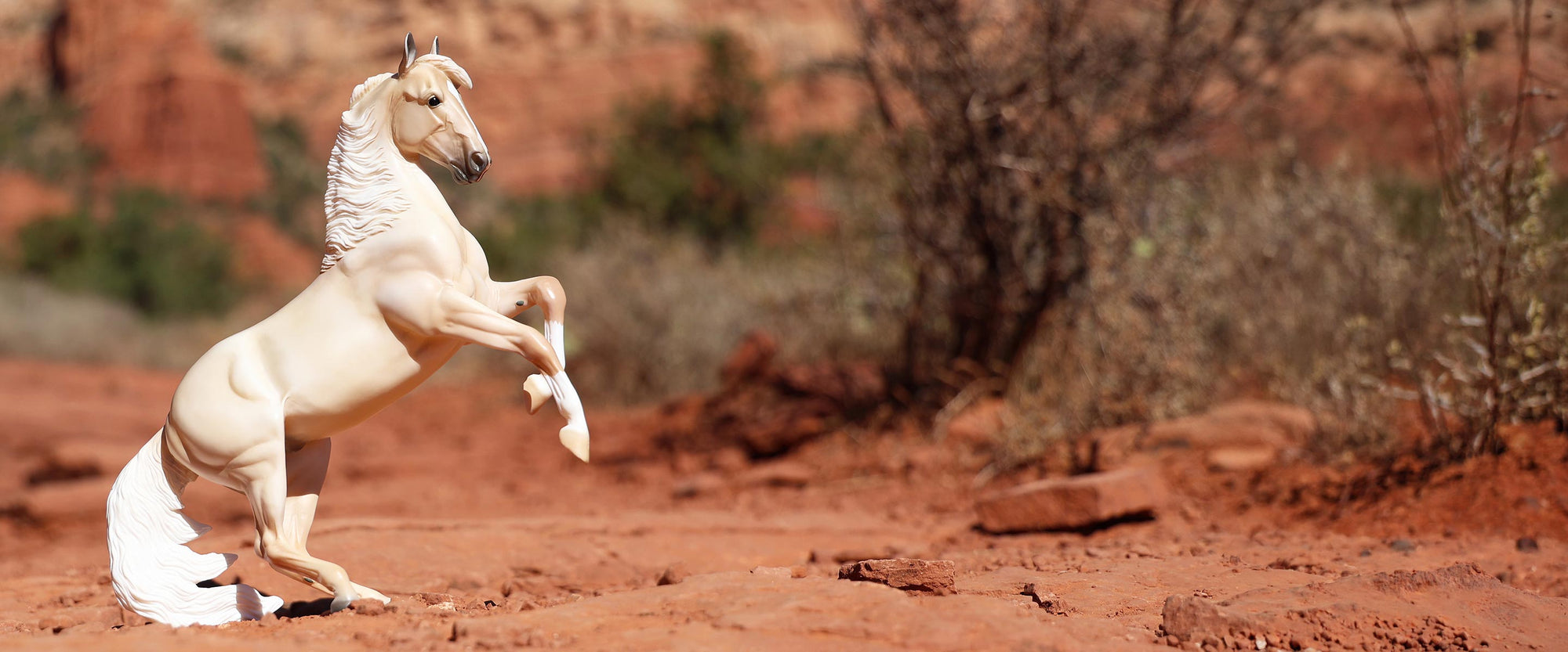 National Just Because Day - A Breyer model rearing in the desert