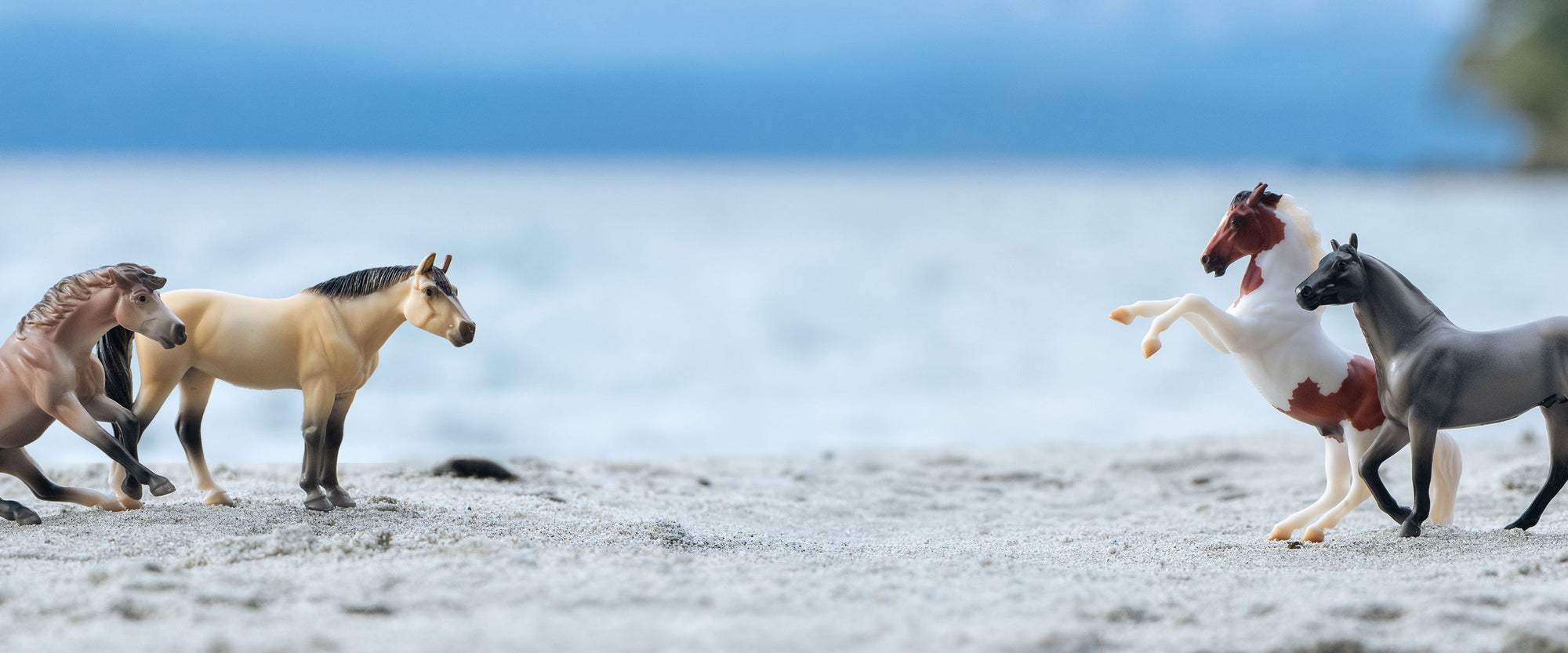 Stablemates Sale - Save 15% on purchase of 75+ - featuring 4 models on the beach