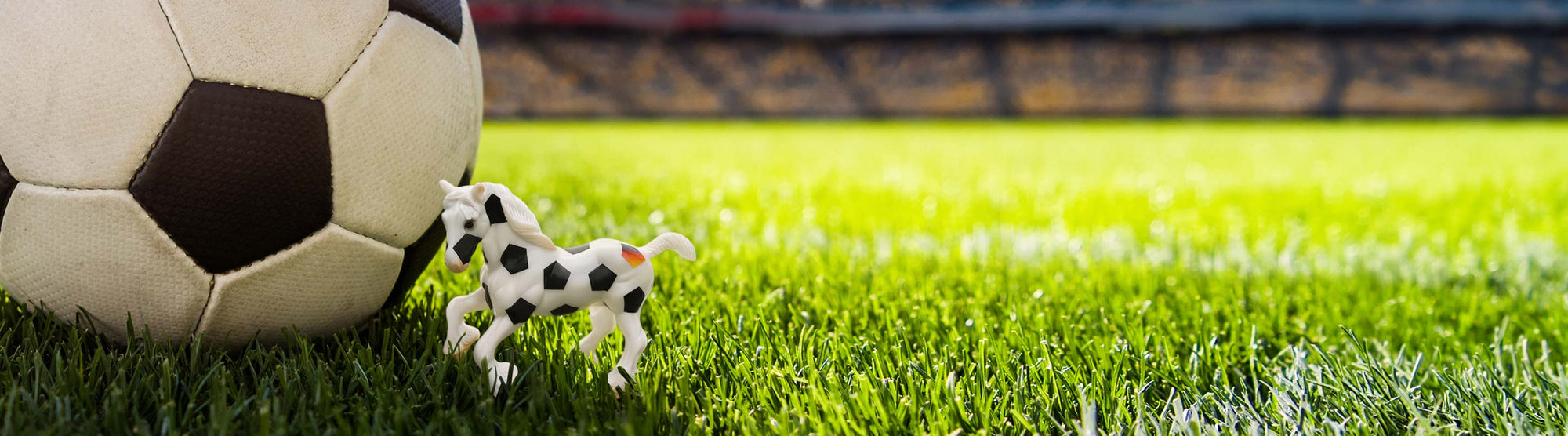Torlinie next to a soccer ball on the grass in a stadium