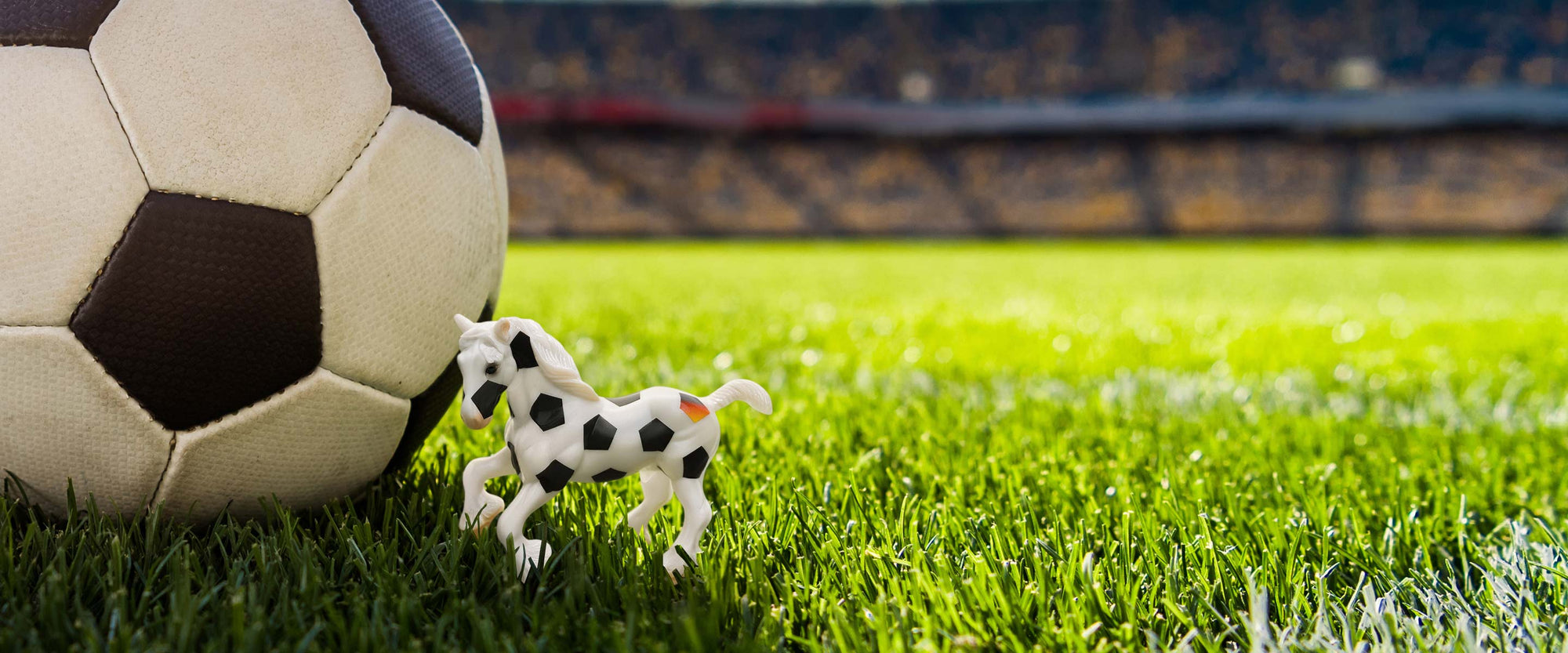 Torlinie next to a soccer ball on the grass in a stadium