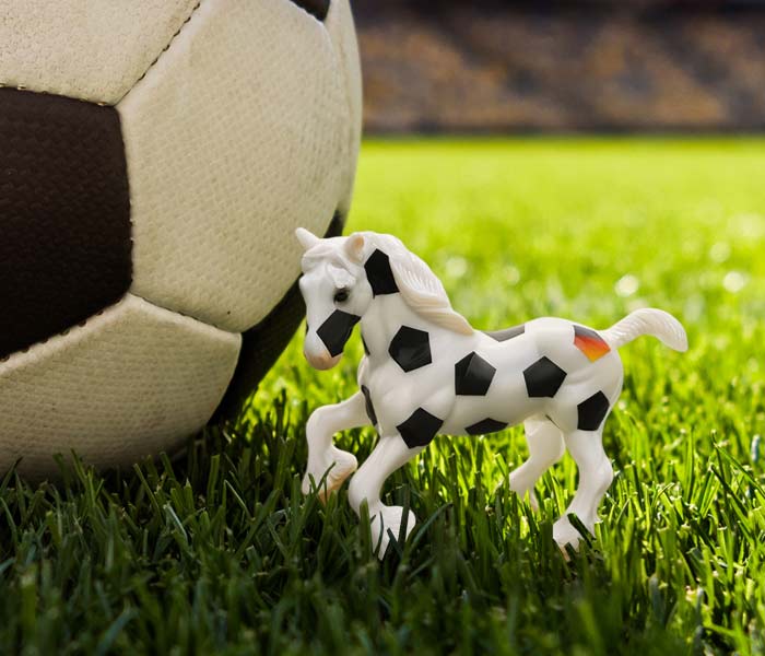 Torlinie next to a soccer ball on the grass in a stadium
