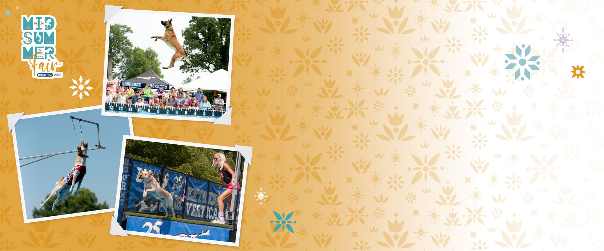 BreyerFest Tickets Are On Sale - featuring Dock Dogs