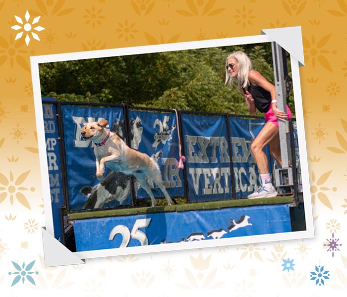 BreyerFest Tickets Are On Sale - featuring Dock Dogs