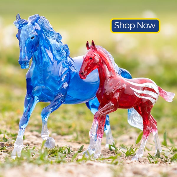 Birthday Bash Savings featuring Betsy and Ross