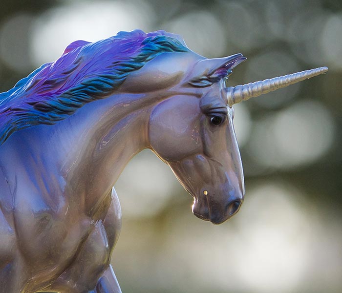 Pride Month Sweepstakes featuring the Thorin Breyer Model standing in grass