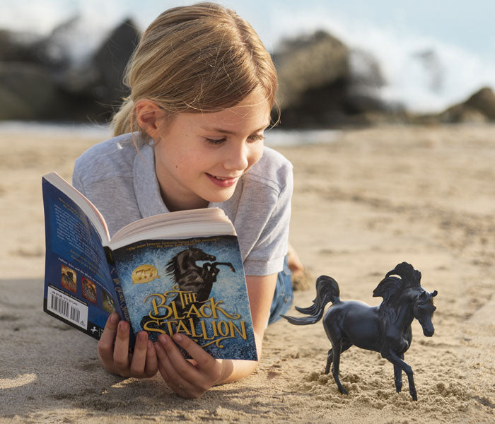 Freedom Series Sale - Save 15% for a limited time, featuring Black Stallion