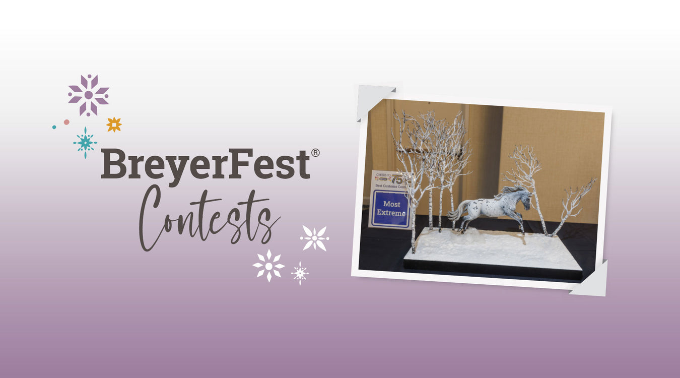 BreyerFest Contests - featuring a Best Customs Entry
