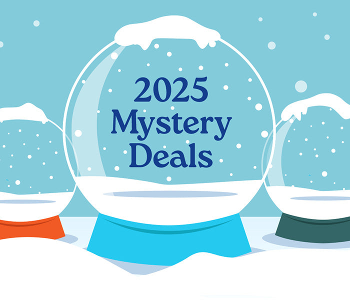 The 2025 Mystery Deals written on a graphic of a snow globe in snow.