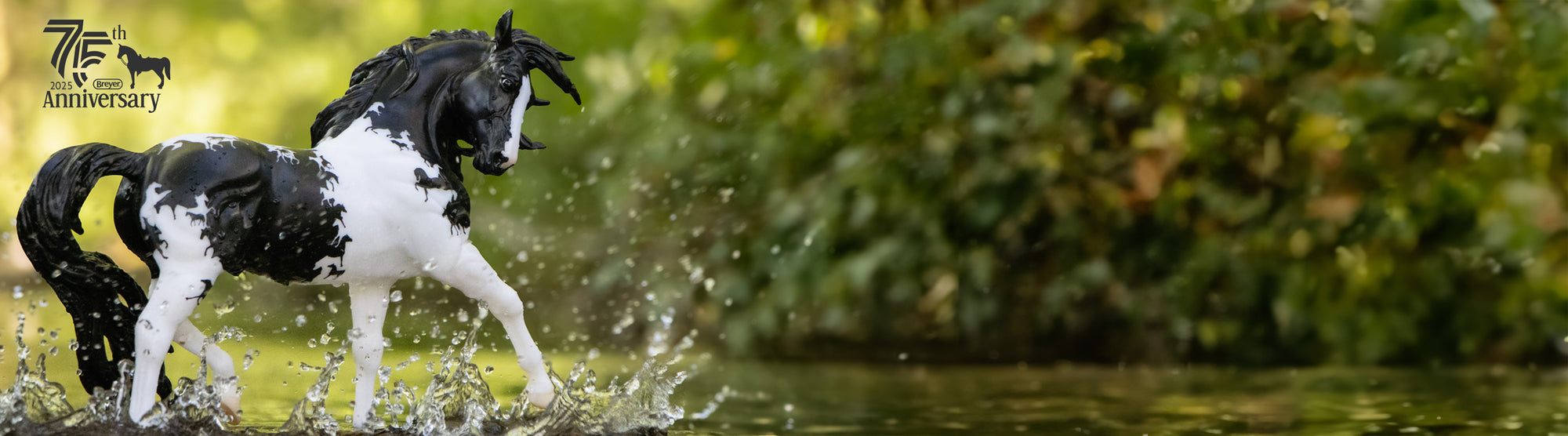 75th Anniversay Model Sale