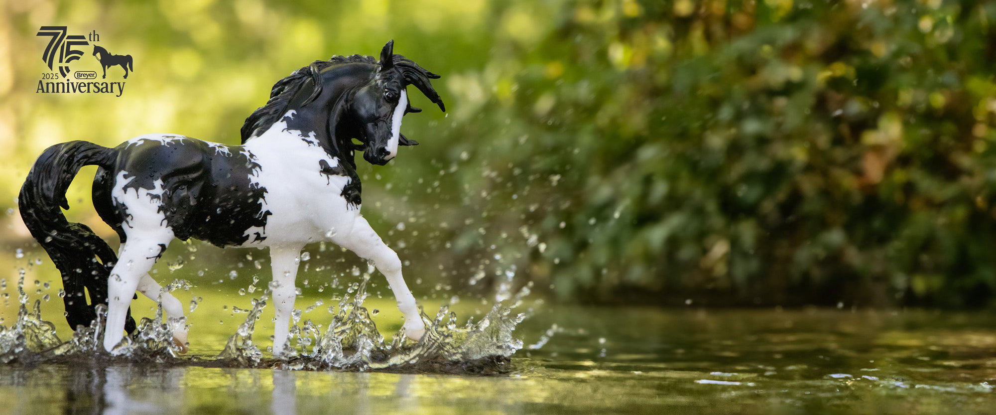 75th Anniversay Model Sale